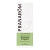 Image de Pranarôm geranium d'égypte huile essentielle 10ml