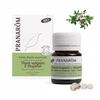 Image de Pranarôm thym vulgaire à thujanol huile essentielle 5ml