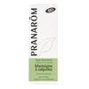 Image de Pranarôm marjolaine à coquilles huile essentielle de 5ml