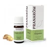 Image de Pranarôm gingembre huile essentielle 5ml