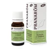 Image de Pranarôm huile essentielle romarin à camphre 10ml