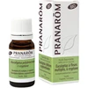 Image de Pranarôm huiles essentielles eucalyptus à cryptone bio 10ml