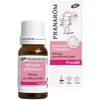 Image de Pranarôm pranaBB diffusion citronnelle bio 10ml