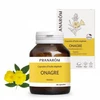 Image de Pranarôm huile végétale Onagre 60 Capsules
