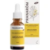 Image de Pranarôm huile végétale prédiluée argousier bio 30ml