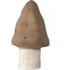 Image de Petite lampe veilleuse champignon Chocolat