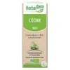 Image de Herbalgem Cèdre Bio 30ml