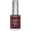 Image de Vernis effet gel sans lampe Hybrid Gel H61 Andreia 10,5ml