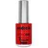 Image de Vernis effet gel sans lampe Hybrid Gel H72 Andreia 10,5ml