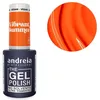 Image de Vernis semi-permanent The Gel Polish VS3 Andreia 10,5ml
