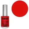 Image de Vernis effet gel sans lampe Hybrid Gel H96 Charmed Andreia 10,5ml
