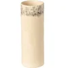 Image de Vase cylindrique Costa Nova Beige 9x8,9x24,7 cm NAV251-CRM