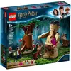 Image de LEGO Harry Potter 75967 - La Forêt interdite : la rencontre d'Ombrage