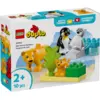Image de Familles d'animaux sauvages : pingouins et lions LEGO DUPLO Ma ville 10442