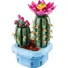 Image de Cactus fleuri - Botanicals Lego-11509