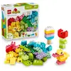 Image de Boîte créative colorée LEGO DUPLO Classic 10479
