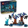 Image de La Forêt interdite : Expecto Patronum LEGO Harry Potter 76475
