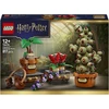 Image de LEGO Harry Potter 76474 Les Plantes du Cours de Botanique de Poudlard