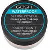 Image de Poudre waterproof Setting Powder n°1 transparente GOSH