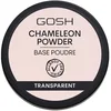 Image de Poudre caméléon 001 transparent Gosh 8g