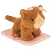 Image de Peluche Chat et sa caisse