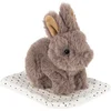 Image de Peluche Lapin et sa caisse