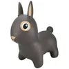 Image de Ballon sauteur Le Lapin Thumper