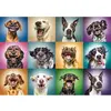Image de Puzzle 1000 pièces : Portraits de chiens rigolos Trefl-10462