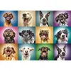 Image de Puzzle 1000 piÃ¨ces : Portraits de chiens rigolos