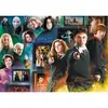 Image de Puzzle 1000 piÃ¨ces : Harry Potter - Le Monde des Sorciers
