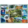 Image de Puzzle 1000 piÃ¨ces : Smiley : Happy Photos