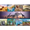 Image de Puzzle 1000 pièces : Collage : Afrique Trefl-10792