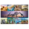 Image de Puzzle 1000 piÃ¨ces : Collage : Afrique