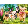 Image de Puzzle 1000 pièces : Tea Time : Voilà les ennuis ! Trefl-10800