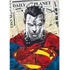 Image de Puzzle 1000 pièces Premium Plus : Superman / Warner Superman Tref-10884