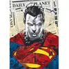 Image de Puzzle 1000 piÃ¨ces Premium Plus : Superman / Warner Superman