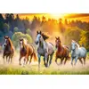 Image de Puzzle 1500 piÃ¨ces : Chevaux sauvages