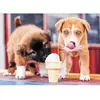 Image de Puzzle 500 pièces : L'heure des glaces ! Trefl-37272