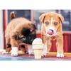 Image de Puzzle 500 piÃ¨ces : L'heure des glaces !
