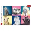 Image de Puzzle 500 piÃ¨ces : Chatons