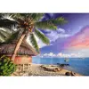 Image de Puzzle 500 piÃ¨ces : Ãle de Bora Bora