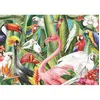 Image de Puzzle CrÃ©atif 500 piÃ¨ces : Oiseaux du Paradis