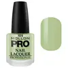 Image de Vernis Classique 15 ml Mollon Pro Spain - 105