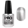 Image de Vernis Classique 15 ml Mollon Pro Silver Shimmer - 221