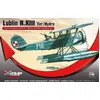 Image de Hydravion Lublin R.XIII Ter/Hydro Rec. 485003