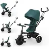 Image de Tricycle évolutif Aston 2 Plus Mystic Green