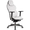 Image de Quersus ICOS 1.1 (Champagne Beige)