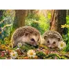 Image de Puzzle 500 piÃ¨ces : Visiteurs mignons