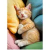 Image de Puzzle 500 piÃ¨ces : C'est moi qui commande ici