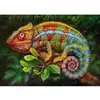 Image de Puzzle 1000 pièces :  Caméléon Timaro-30011